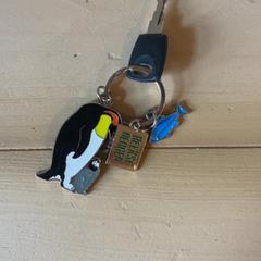 Nyckel, rapporterat av Familie Resort Molenwaard med iLost