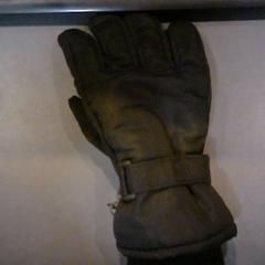 Guanto, come riportato da SnowWorld Landgraaf utilizzando iLost