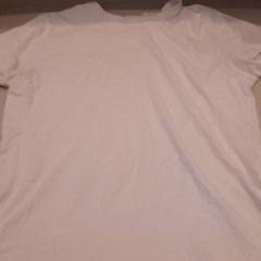 Koszula wit, zgłoszono przez Van der Valk Hotel Schiphol przy użyciu iLost