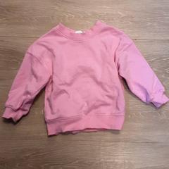 아기점퍼, iLost를 사용하여 Diergaarde Blijdorp에 보고됨