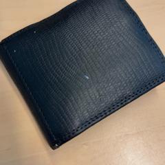 Zorroa, gisa salatu by RET iLost erabiliz