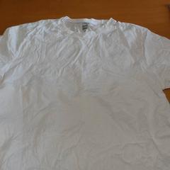 シャツ shirt がiLostで Carlton Beach Hotel によって報告されました