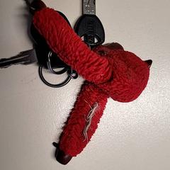 Chiavi, come riportato da Connexxion Haarlem IJmond utilizzando iLost