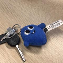 Clés, a été signalé par Gemeente Arnhem utilisant iLost