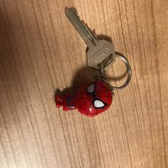 Sleutel, iLost를 사용하여 Pathé Buitenhof에 보고됨