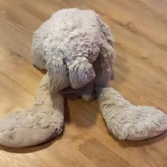 Knuffel, segundo informou Arriva Limburg Noord usando iLost