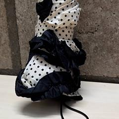 Paraply, rapporterat av Arriva Oost-Brabant med iLost