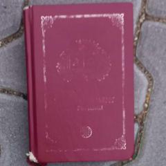 Libro Robert, come riportato da Arriva West-Brabant utilizzando iLost