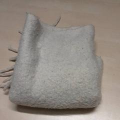 Sjal, rapporterat av Arriva Oost-Brabant med iLost