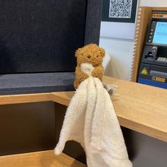 Doudou, a été signalé par Designer Outlet Roosendaal utilisant iLost