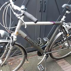 Heren fiets merk Giant Custom, segons s'ha informat a iLost
