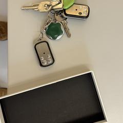 Car keys, as reported to iLost