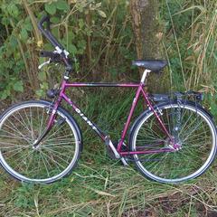 Giant Tourer herenfiets, iLost에 보고됨