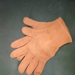 Gants Bruin, a été signalé par Qbuzz GD Groningen HS utilisant iLost