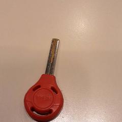 المفاتيح (متنوعة)، كما تم الإبلاغ عنه بواسطة LUMC عبر iLost