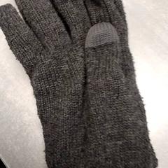 Handskar Grijs, rapporterat av Arriva Friesland / Groningen med iLost