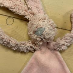 Cudowny policzek Roze, zgłoszono przez Familie Resort Molenwaard przy użyciu iLost