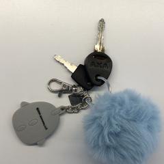 Kulcstartó, amint azt Gemeente Weert az iLost segítségével jelentette.