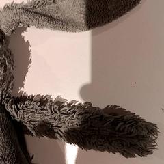 Knuffel, iLost를 사용하여 De Efteling에 보고됨