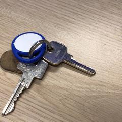 Chiavi, come riportato da Gemeente Arnhem utilizzando iLost