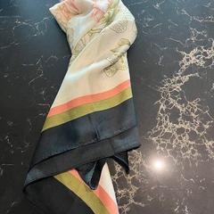 Schal, gemeldet von Van der Valk Hotel Veenendaal über iLost