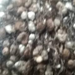 Sjal, som rapportert av IKEA Matosinhos ved bruk av iLost