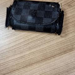 Pasjes houder + pasjes, segons ha informat Connexxion Amstelveen mitjançant iLost