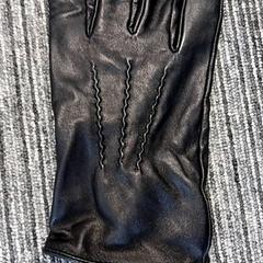 Hanske Zwart, som rapportert av Arriva Vechtdallijnen ved bruk av iLost