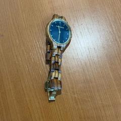 손목시계, iLost를 사용하여 Arriva Achterhoek-Rivierenland에 보고됨