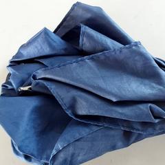 Parapluie - Blauw, a été signalé par Centraal magazijn utilisant iLost