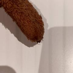 Knuffel, as reported by De Efteling using iLost