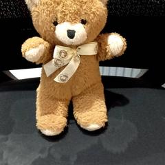 Hračka Teddy beer, jak nahlášeno allGo Almere pomocí iLost