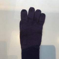 Glove, as reported by Van Gogh Museum using iLost