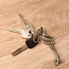 Sleutelbos, gerapporteerd met iLost