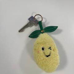 Kľúč, ako bolo nahlásené Gemeente Ede pomocou iLost