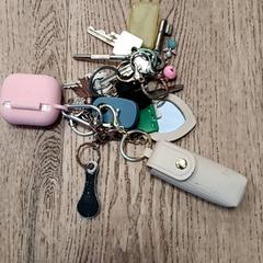 Sleutels, zoals gemeld door RRReis Trein Amersfoort / Ede-Wageningen met iLost