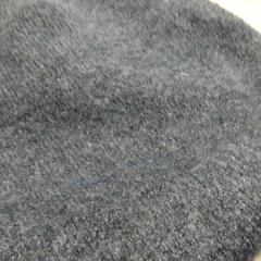 Beanie Grijs, som rapportert av Arriva Friesland / Groningen ved bruk av iLost