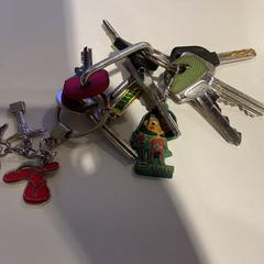 Chiavi, come riportato da Gemeente Amsterdam utilizzando iLost