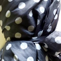 傘 - Zwart met witte bollen がiLostで Centraal magazijn によって報告されました