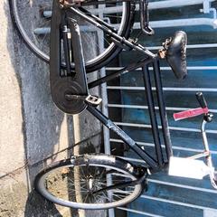 Bicicleta de hombre legend, ha sido reportado por Stadswerk072 con iLost