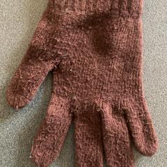 Rukavice braun, jak nahlášeno Schönbrunn "Group Center" pomocí iLost