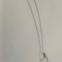 목걸이, iLost를 사용하여 Padualaan 99에 보고됨