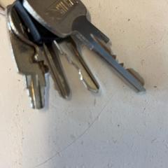 열쇠, iLost를 사용하여 GVB에 보고됨