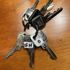 Sleutelbos, jak zgłoszono do iLost