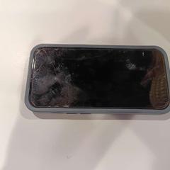 I phone, come riportato da Regio Limburg - Leuven utilizzando iLost