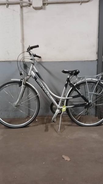 Women’s bike Thompson Zilver-Zwart