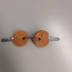 Keys, as reported by Gemeente Rhenen using iLost