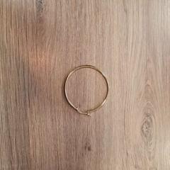 Ohrring, gemeldet von Breda University of Applied Sciences Mgr. Hopmansstraat über iLost