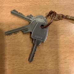 Schlüsselanhänger, gemeldet von Gemeente Amsterdam über iLost