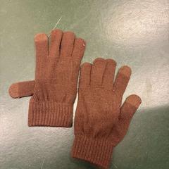 Kesztyű bruin, amint azt Universiteitsbibliotheek Universiteitskwartier az iLost segítségével jelentette.